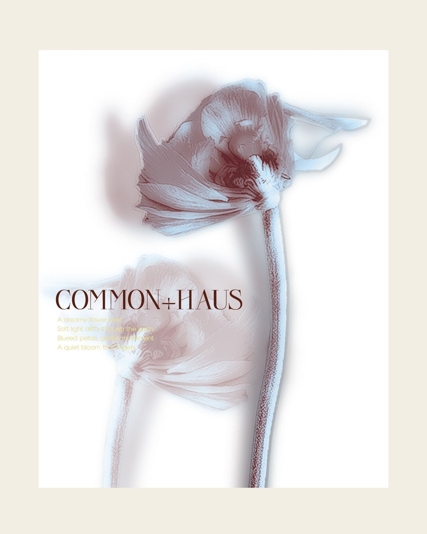 COMMON＋HAUSの<br>フラワーモチーフ